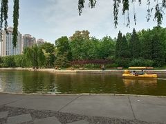 -团结湖公园