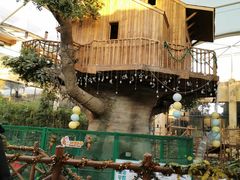 -杭州开元森泊度假乐园