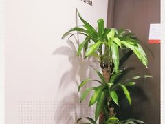 -爱康国宾体检中心(五角场万达广场分院)