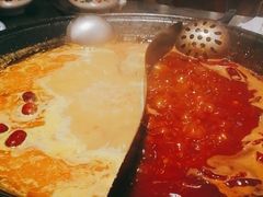 -朱光玉火锅馆(正弘城店)