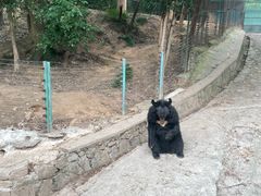 -乐和乐都主题乐园