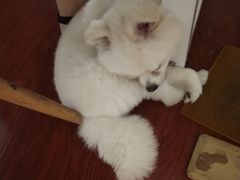 -零几体验diy皮具工作室(振业城店)