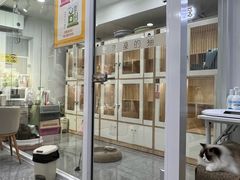 -爱洗澡的猫(天河路店)