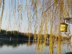 -西安汉城湖景区