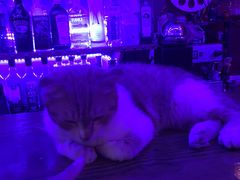 -星宿秘码(鼓浪屿老店)