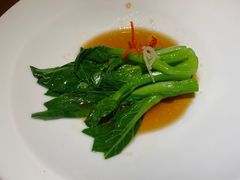 -觀芷隐轩
