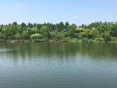 -上海怡沁园度假酒店
