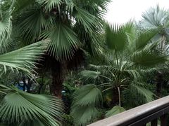 -厦门日月谷温泉渡假村