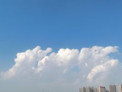 -丁香湖公园