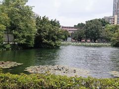 -荔湾湖公园