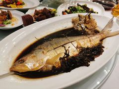 鲥鱼-上海小南国(金桥国际广场店)