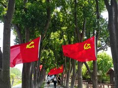 -洪湖生态旅游区