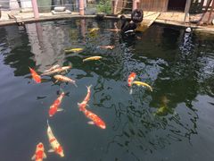 -湖鲜楼