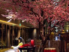 -金轩中餐厅 Jin Xuan(浦东丽思卡尔顿酒店)