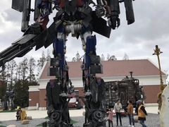 -上海长兴岛郊野公园