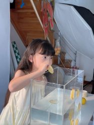 -蜜糖派儿童摄影(青建·太阳岛店)