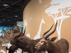 -陕西自然博物馆