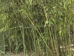 -济南植物园