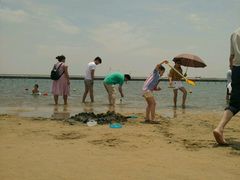 -碧海金沙