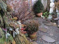 -Jo's Garden