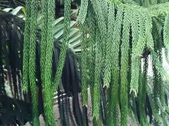 -龙达温泉生态城