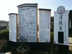 -莲花岛景区