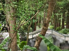 -东明山森林公园