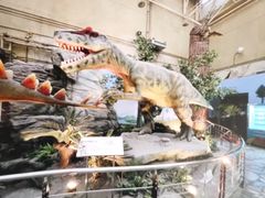 -国家自然博物馆