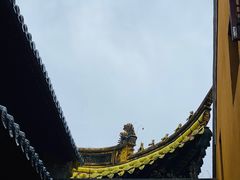 -普陀山风景区-佛顶山