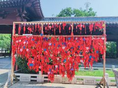 -祥源·阜阳生态乐园