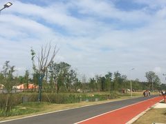 -上海长兴岛郊野公园