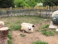 -哈尔滨北方森林动物园