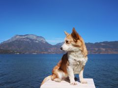 -丽江泸沽湖景区