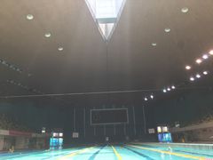 -重庆市奥林匹克体育中心-游泳跳水馆