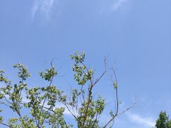 -水西公园