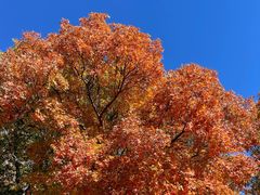 -北京西山国家森林公园