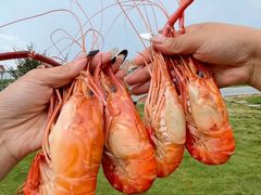 -七的湖·晚芳亭·阳澄湖农家菜·大闸蟹(莲花岛店)
