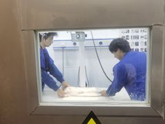 -瑞派名望志远动物医院·猫科·內科·异宠专科(直港大道店)