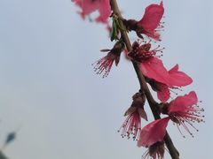 -秀儿家の小确幸融合西餐厅(万达店)