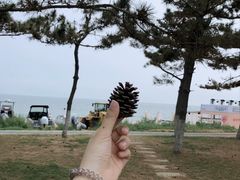 -威海国际海水浴场旅游区