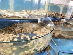 -蓝珊甄选海鲜自助·火锅大排档(近阿那亚店)
