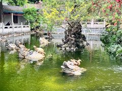 -国恩寺