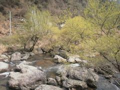 -百杖潭景区