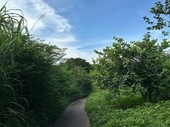 -马峦山郊野公园