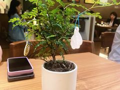 -CURRY YA 熟成咖哩專門店(深圳湾万象城店)