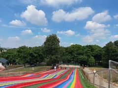 -松山湖南湖湾露营营地