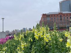 -北外滩滨江绿地