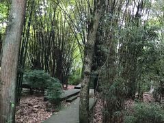 -鹿野苑石刻艺术博物馆