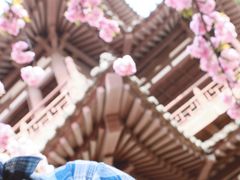 -西安青龙寺遗址景区