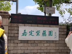 -嘉定紫藤园
